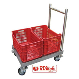Coche Transportador 3